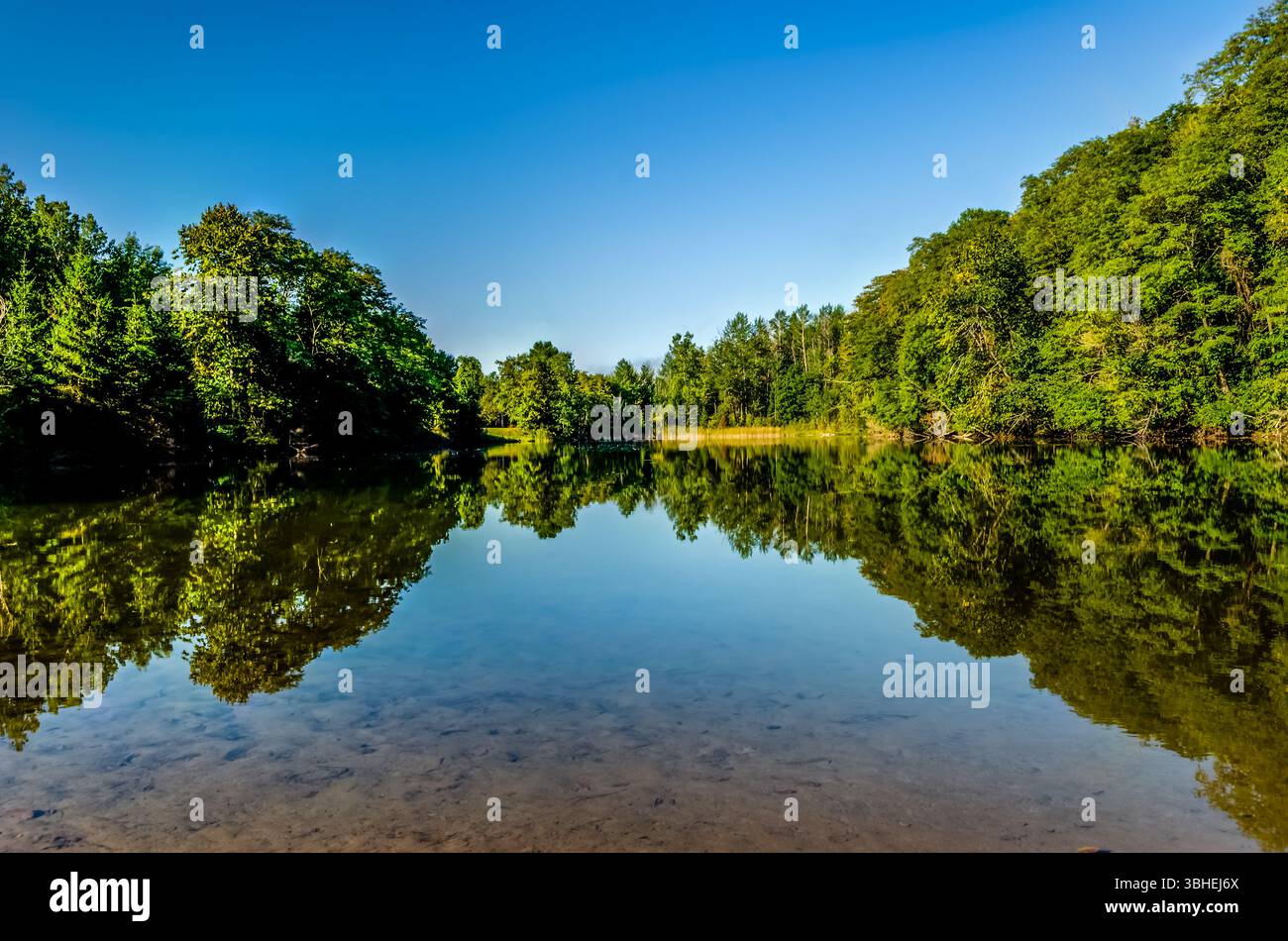 Symetrical view of a tree-lined pond and it's reflection Stock Photo ...