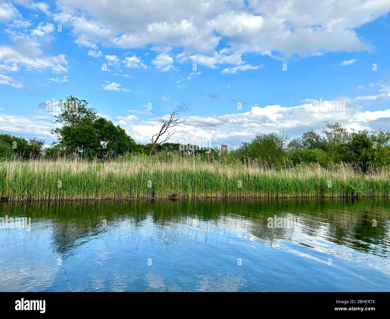 Impressions of the river Peene, Mecklenburg-Vorpommern, Germany - Smartphone Captured Stock Image