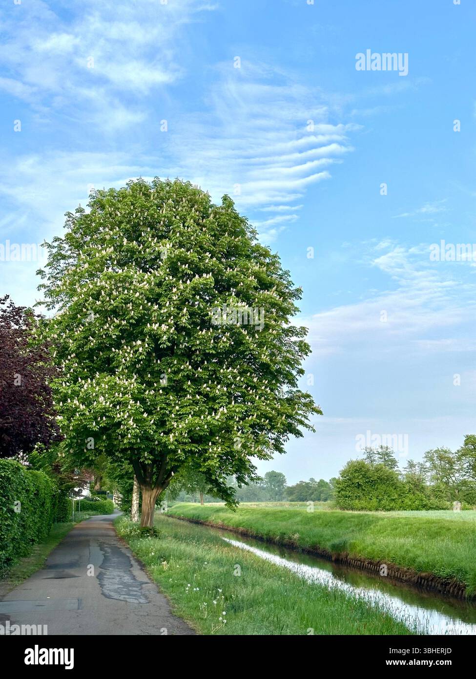 The small river Wümme in Lilienthal, Germany - Smartphone Captured Stock Image