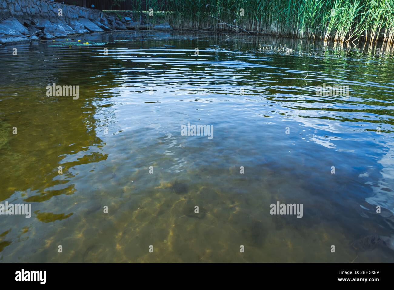 Sunlight creating patterns on the sandy bottom through clear shallow ...