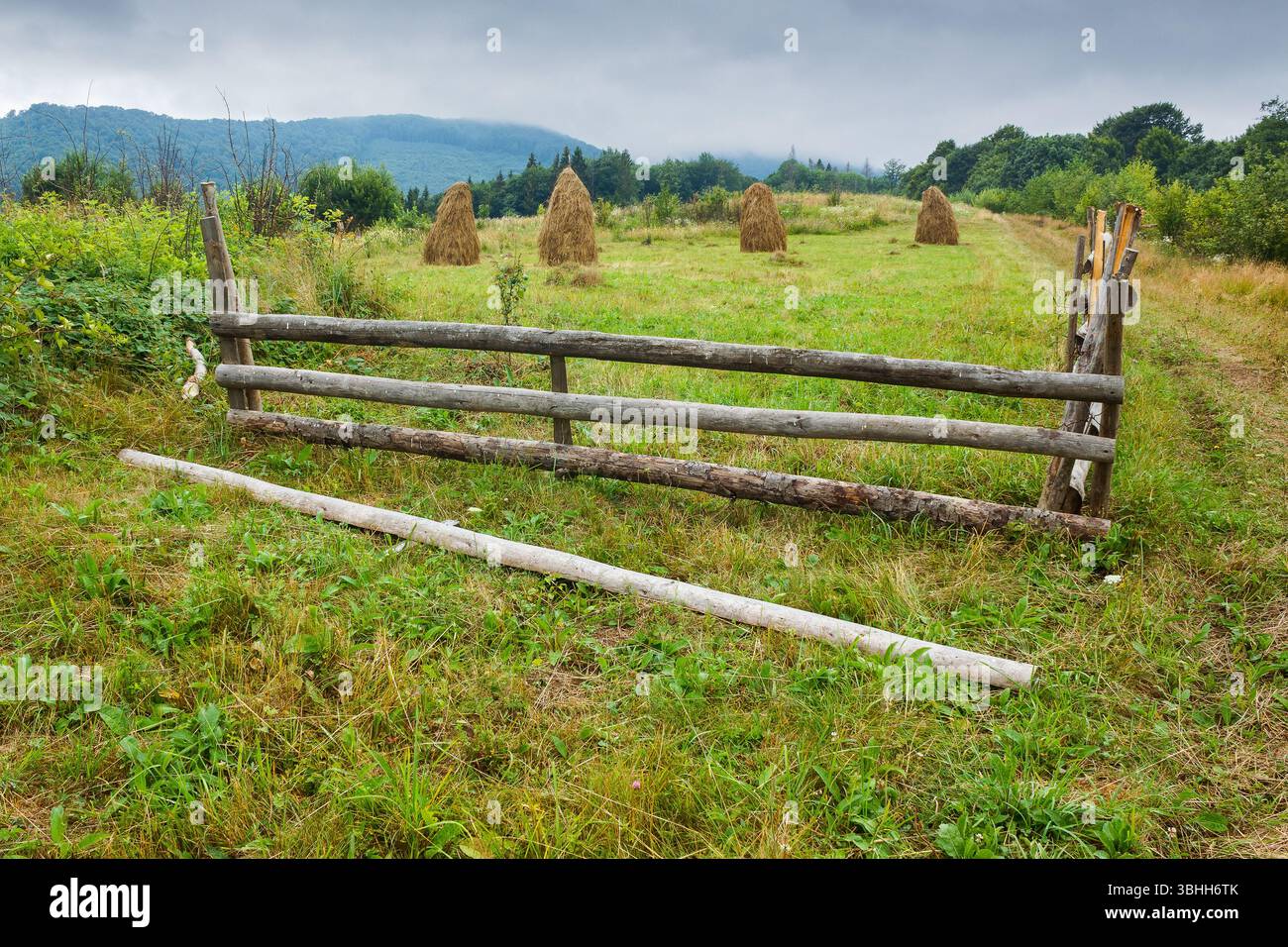 rural field behind the wooden fence. countryside landscape in mountains on a rainy day. organic haystack on the meadow Stock Photo