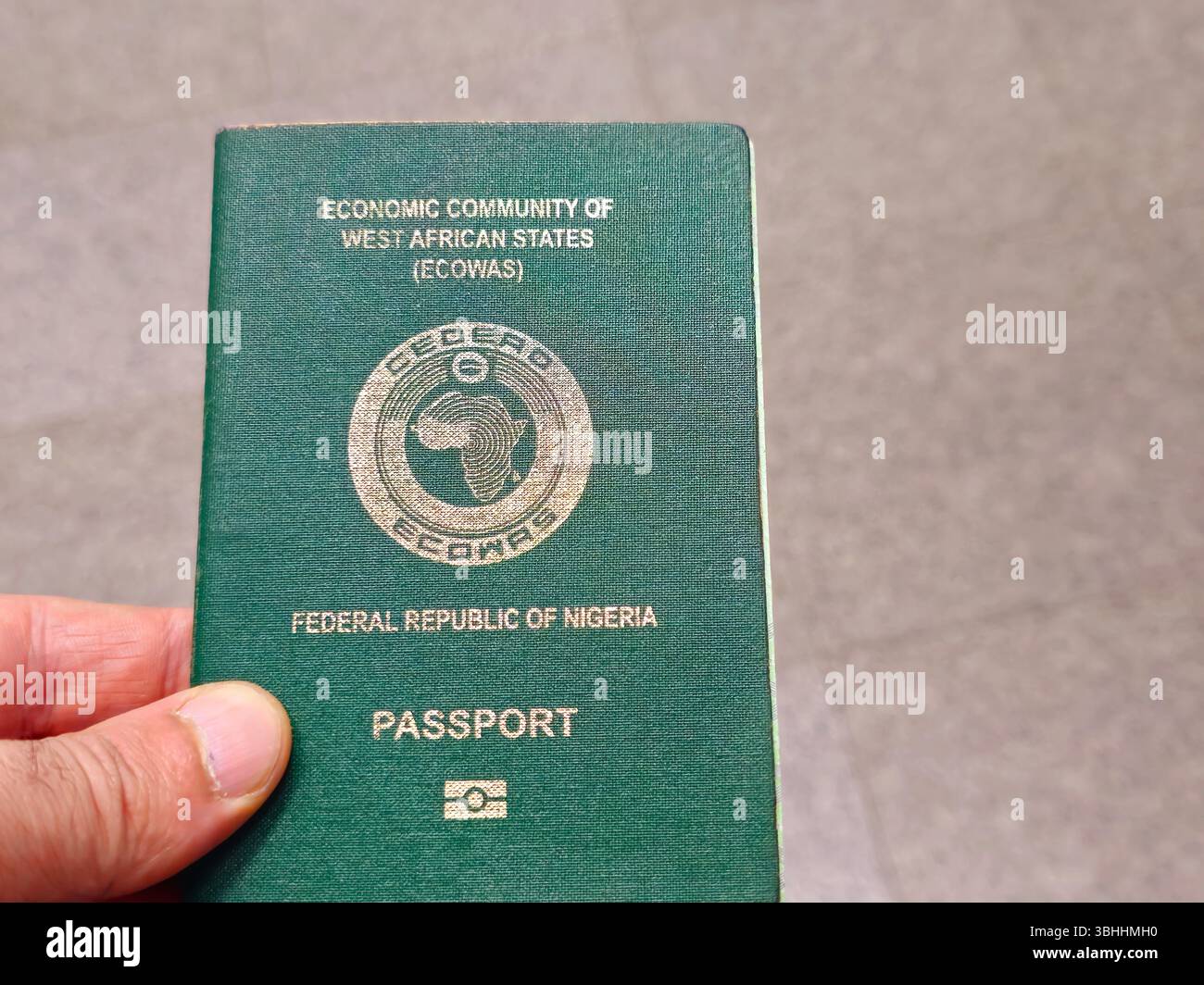 TOP 10 BEST Professional Services near Borgo Sabotino, Latina, Italy -  Updated 2026 - Yelp, image size:1300x1064