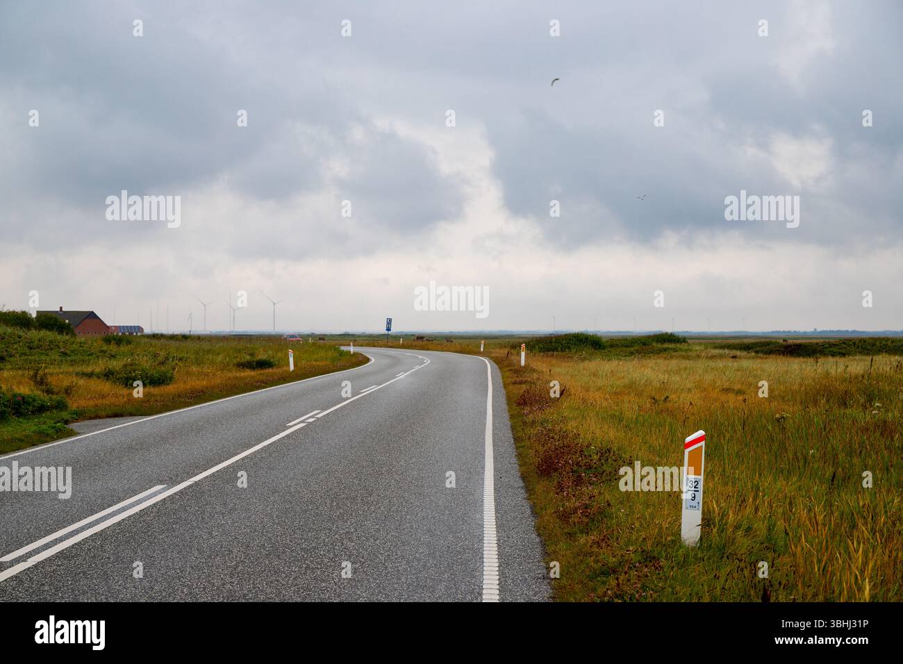 Road between dunes covered with grasses on the Danish coast Stock Photo ...