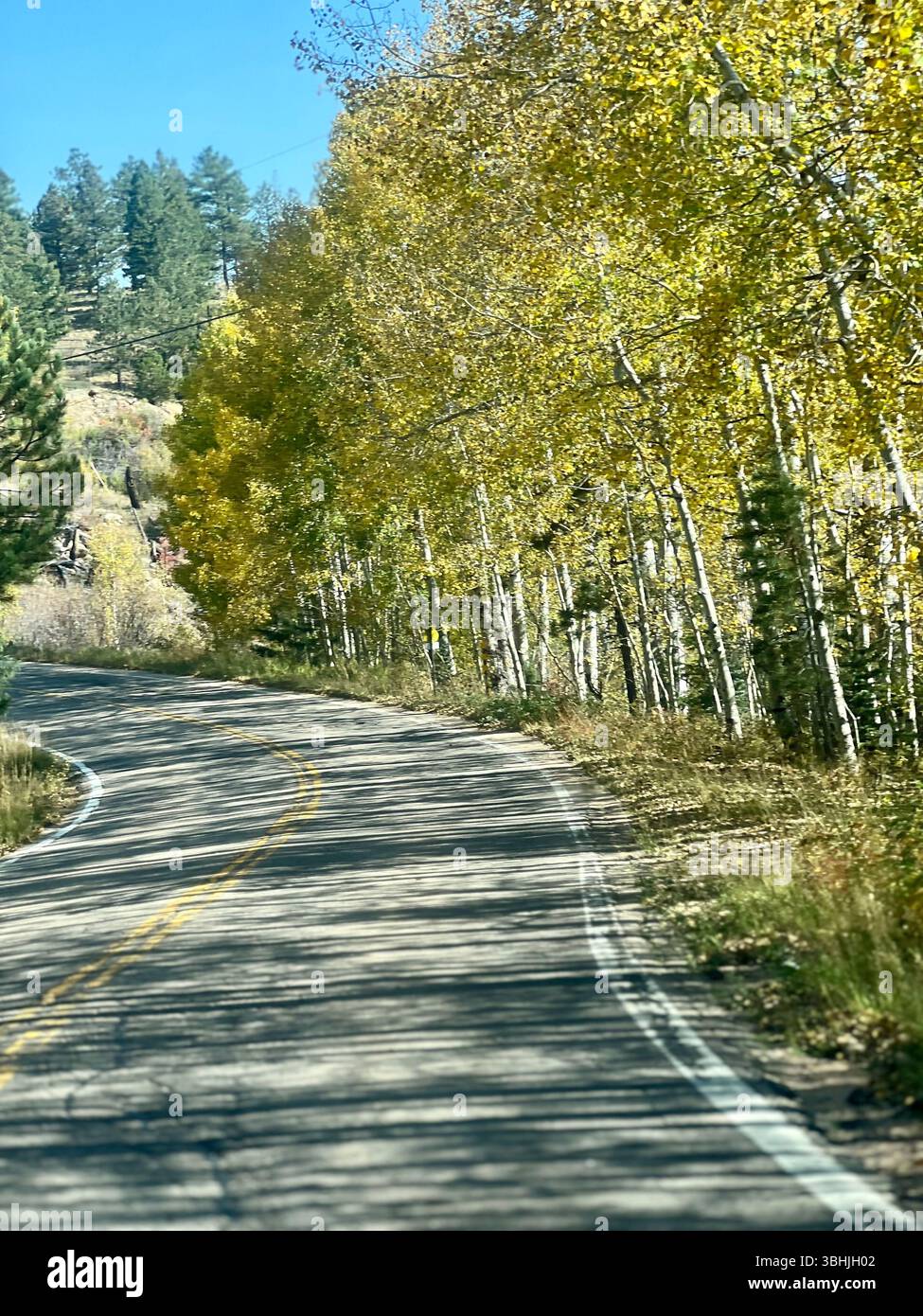 Just Around The Bend, Peak To Peak Highway Whispering Pines, Colorado, USA - Smartphone Captured Stock Image