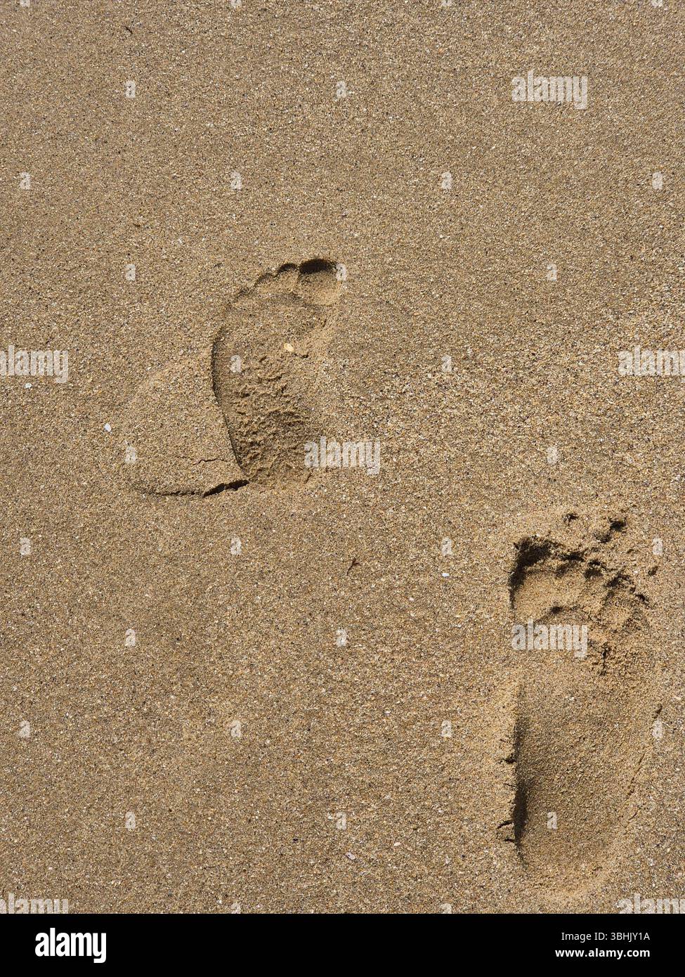 Footprints in the sand. seashore. beach. vacation. summer - Smartphone Captured Stock Image
