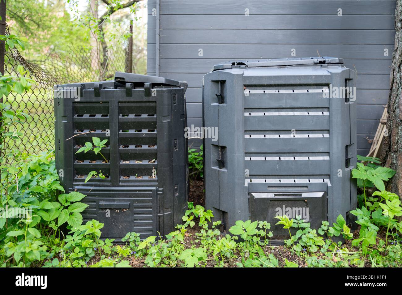 Two plastic compost bins for organic waste stand behind house by wall ...
