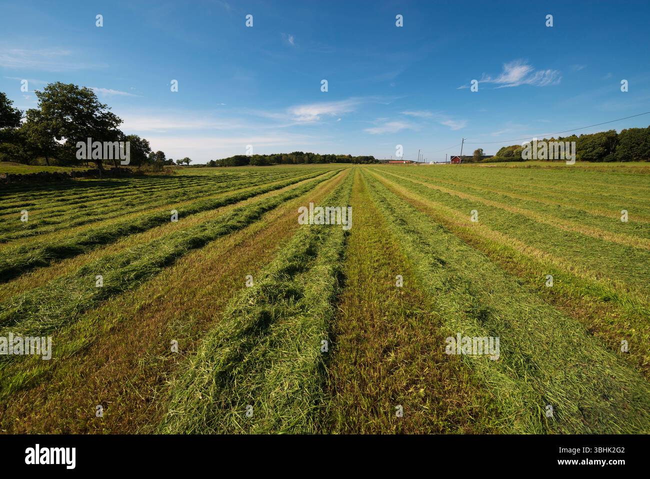 Farm field after harvest Stock Photo - Alamy