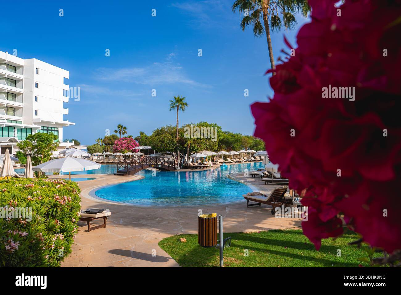 Luxurious Resort in Cyprus with Pool, Palm Trees, and Bridge Stock ...