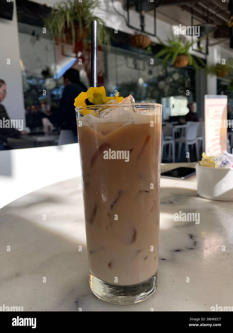Iced coffee with a yellow flower garnish and black straw - Smartphone Captured Stock Image