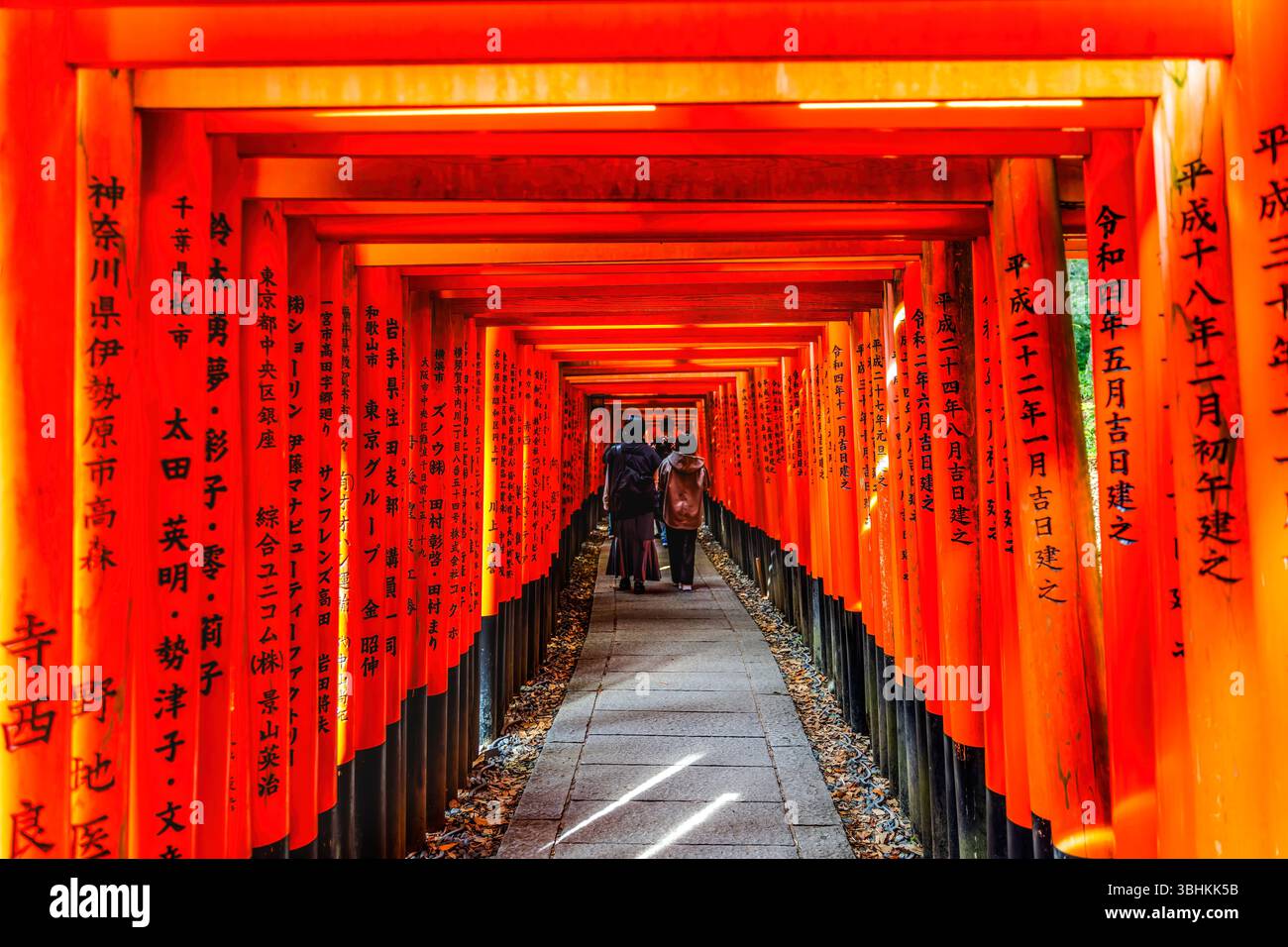 Colorful Tourists Walking Through Red Row Tori Gates Fushimi Inari ...