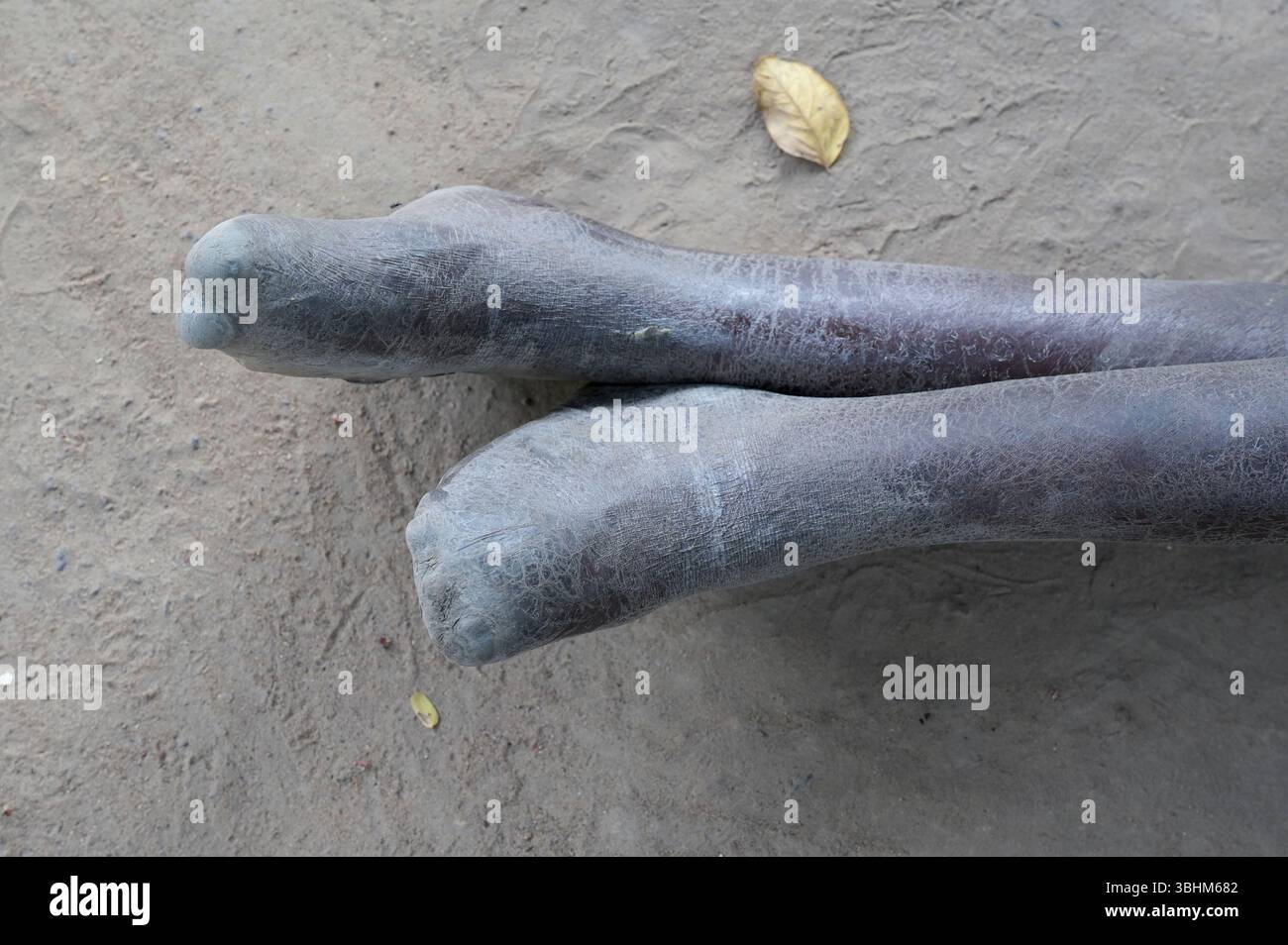 Agok SOUTH-SUDAN, state Western Bahr el Ghazal, town Wau, village Agok for ...