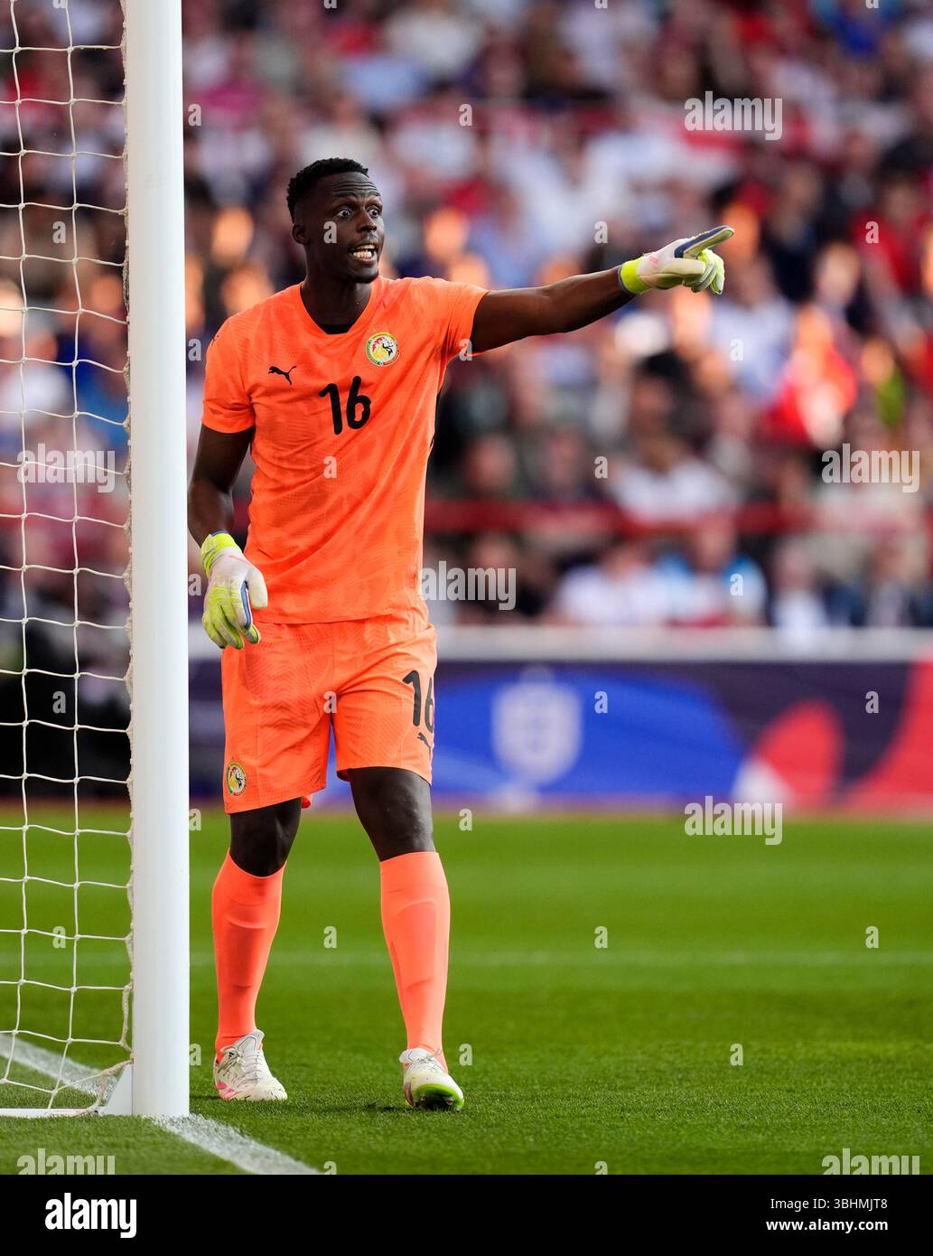 Senegal Goalkeeper Edouard Mendy During The International Friendly senegal-goalkeeper-edouard-mendy-during-the-international-friendly