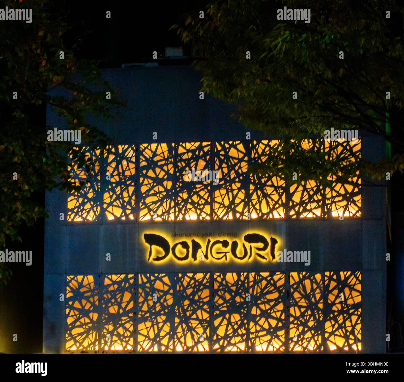 Donguri hi-res stock photography and images - Alamy