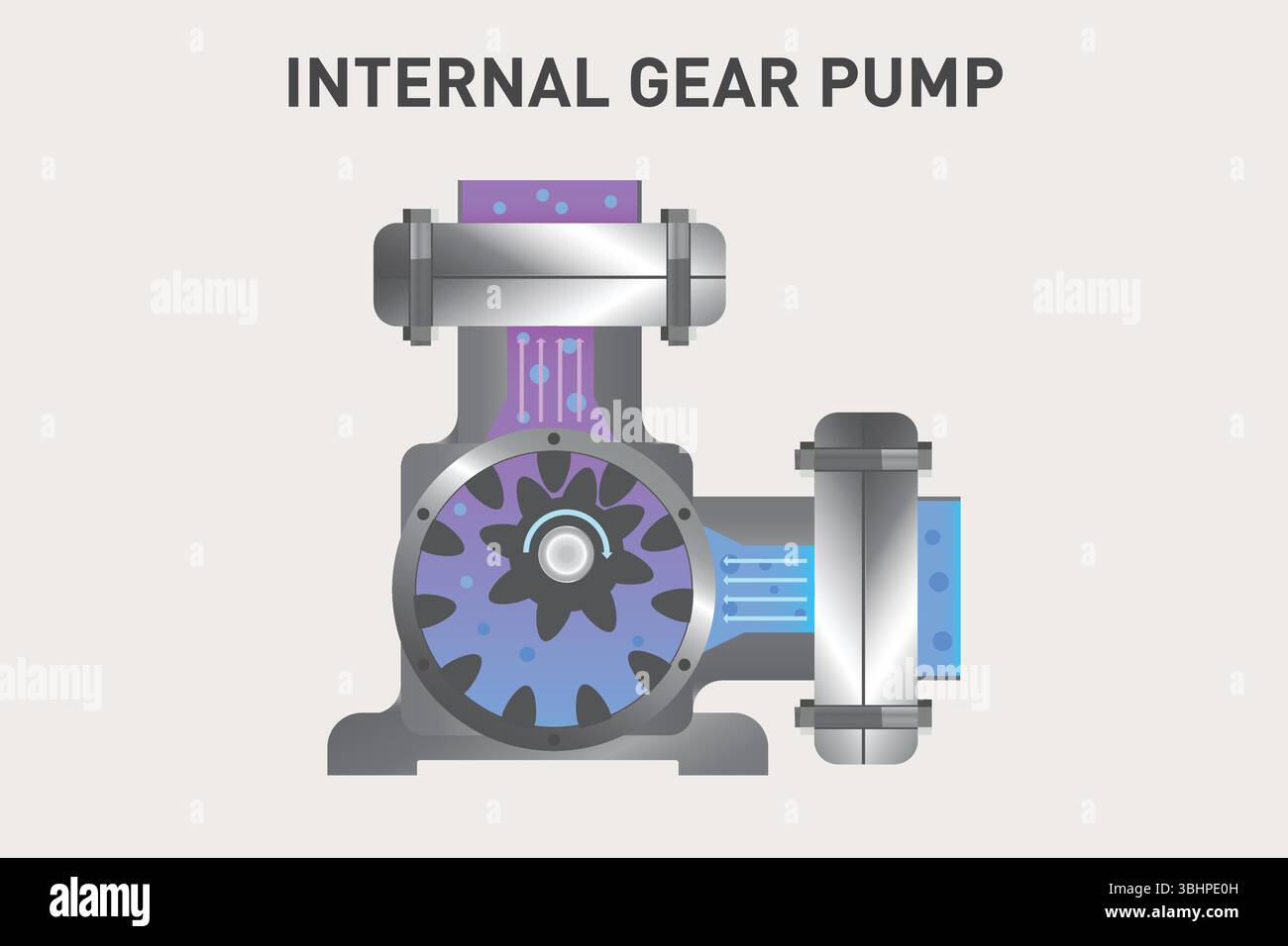 2D Vector Illustration of Internal Gear Pump – Front Section View for Engineering and Technical Use Stock Vector