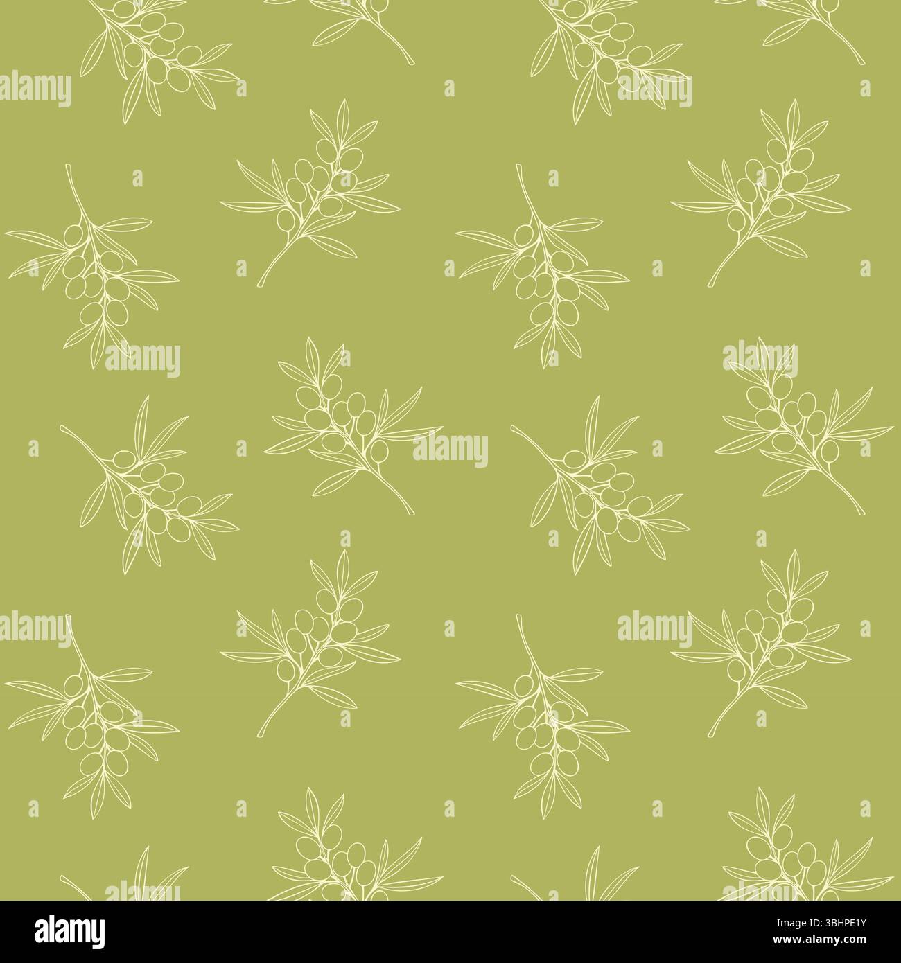 Olives branches light outline drawing. Pattern on pistachio background. Vector illustration Stock Vector