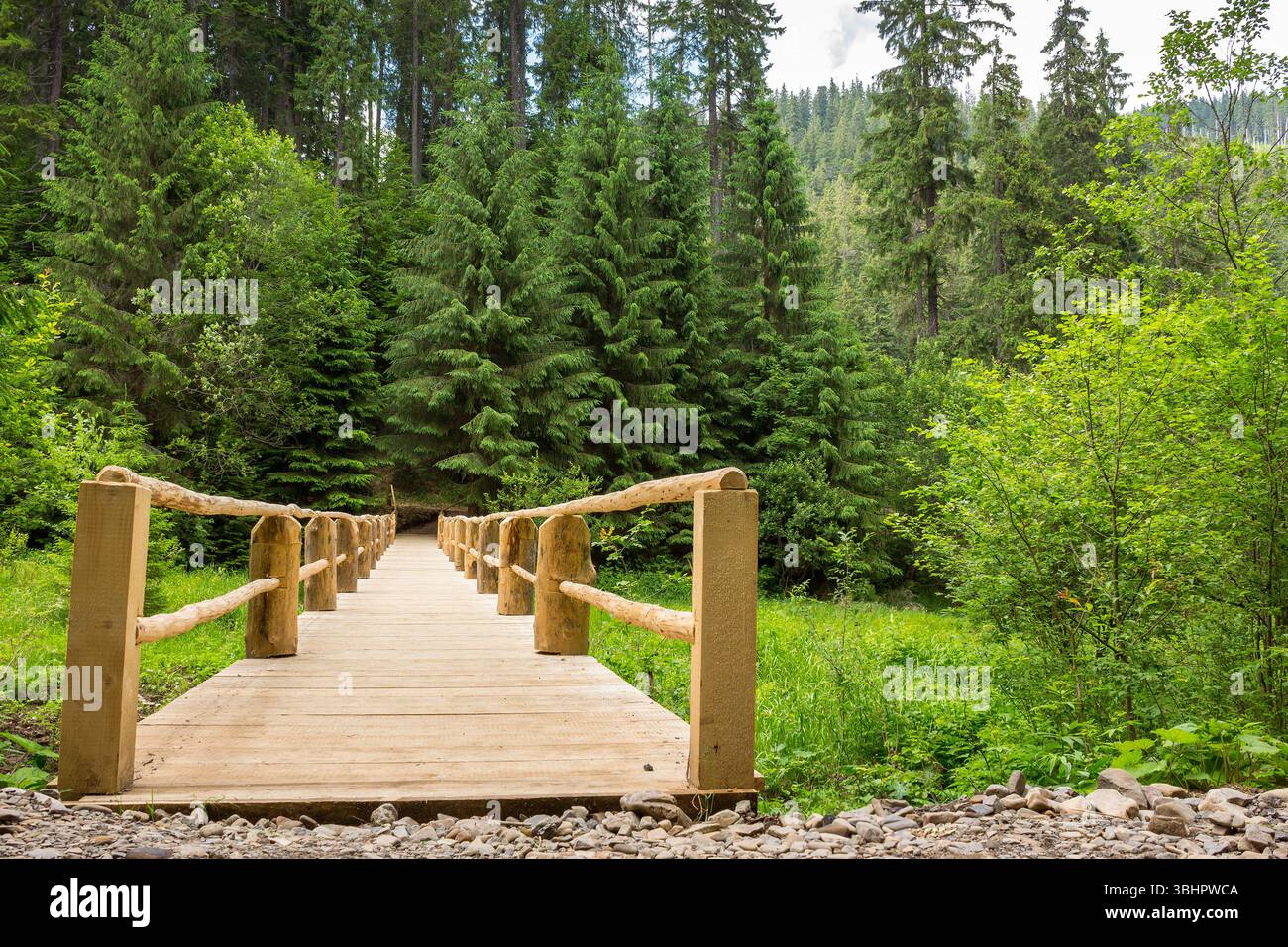 wooden bridge stretching into the depths of the coniferous forest. path over stream in summer. outdoor adventure. scenery in synevyr national park on Stock Photo