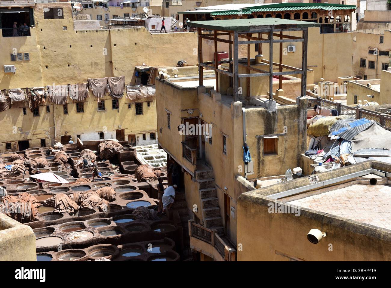 FEZ, MOROCCO - MAY 31, 2025: Workers dying leathers in traditional way ...