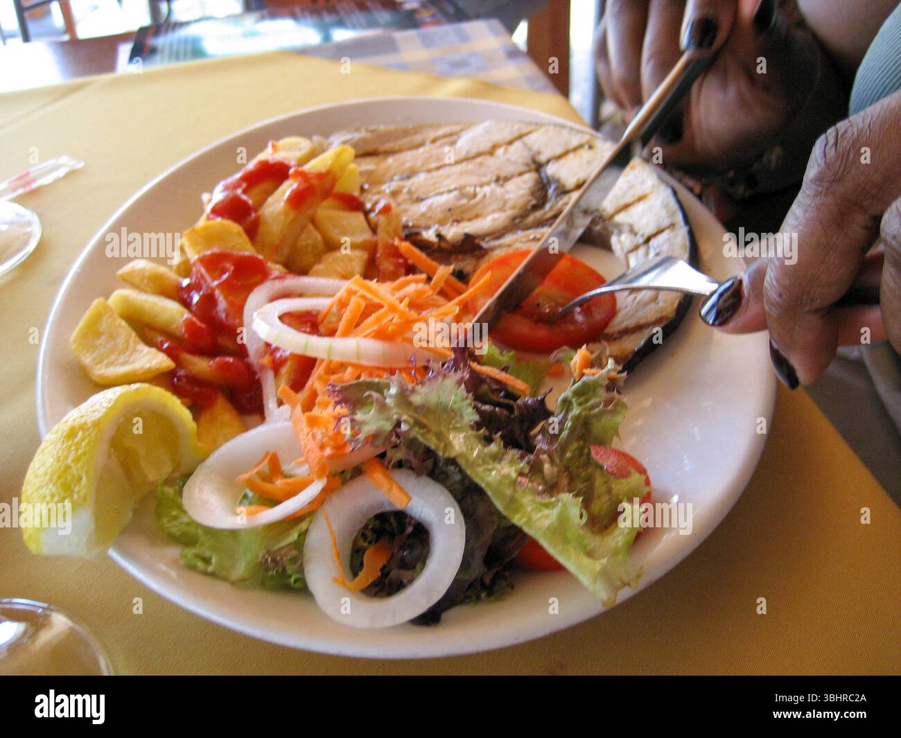 A delicious meal of Swordfish with green salad and fries. Stock Photo