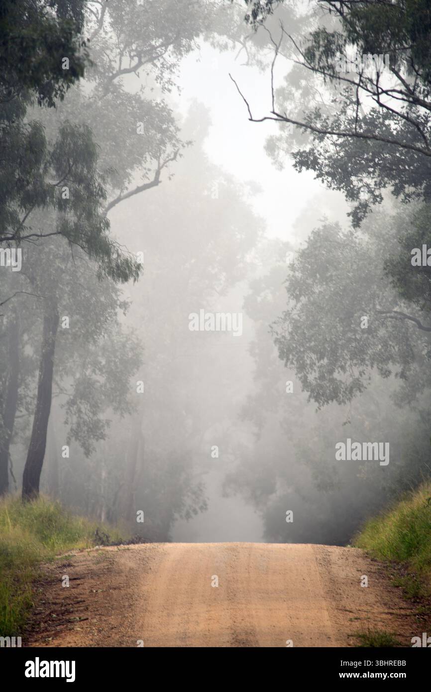 Misty morning on a farm road in rural Queensland, Australia Stock Photo ...