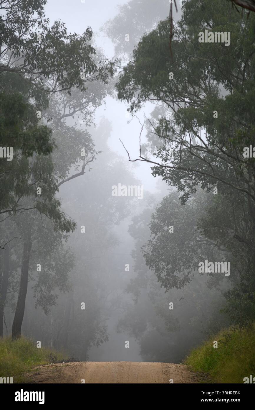 Misty morning on a farm road in rural Queensland, Australia Stock Photo ...