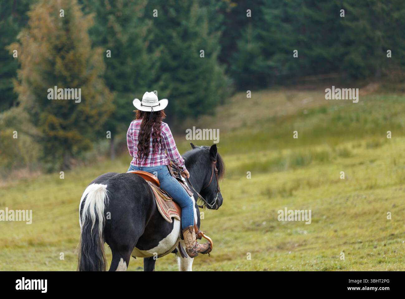 Stunning scene of a skilled cowgirl riding a pinto horse through the ...