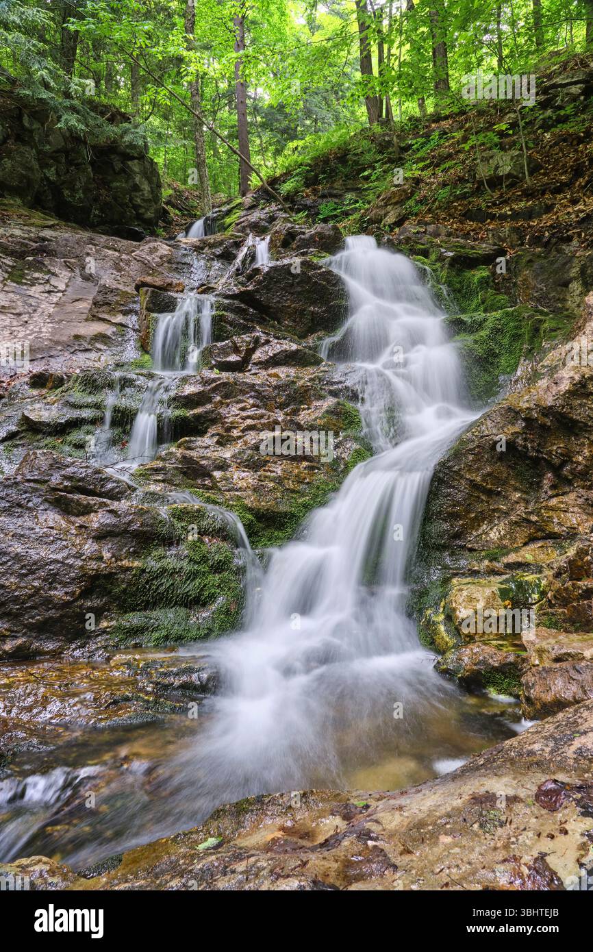 Water cascades down over granite rocks covered in green moss in ...