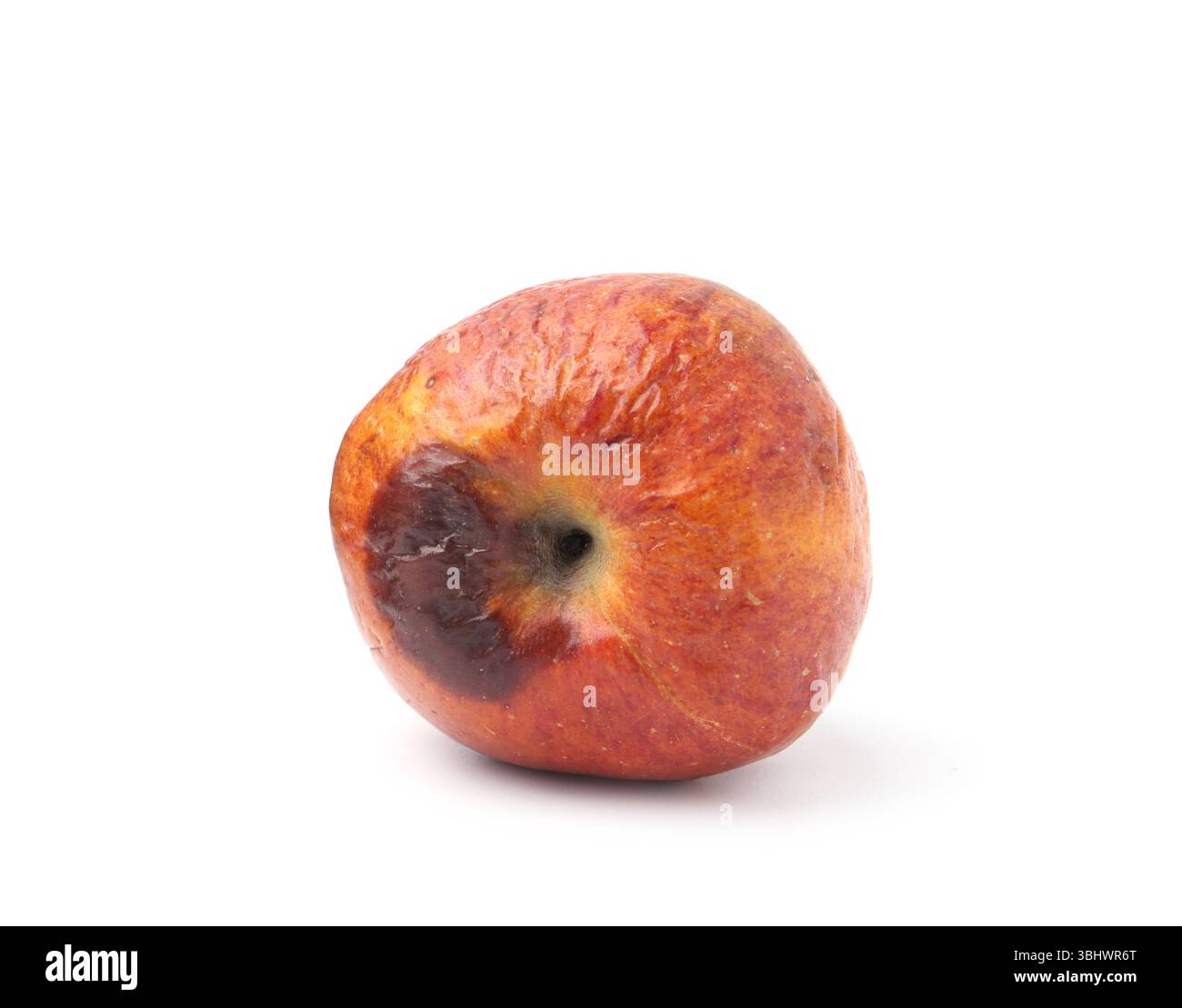 One whole rotten apple isolated on white Stock Photo - Alamy