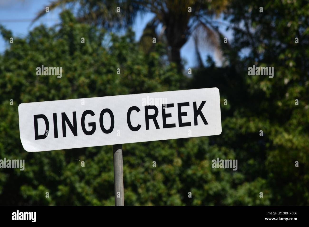 An iconic sign for Dingo Creek, Queensland, Australia Stock Photo - Alamy