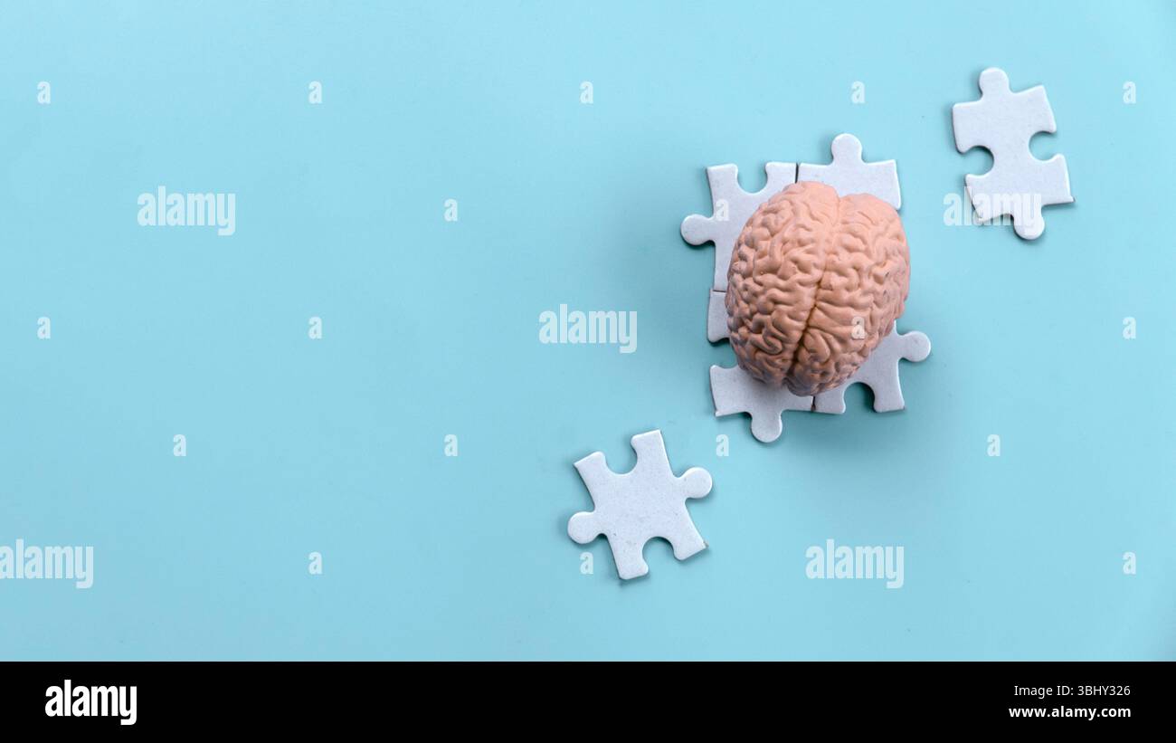 Human Brain Model on Scattered Jigsaw Puzzle Pieces Stock Photo