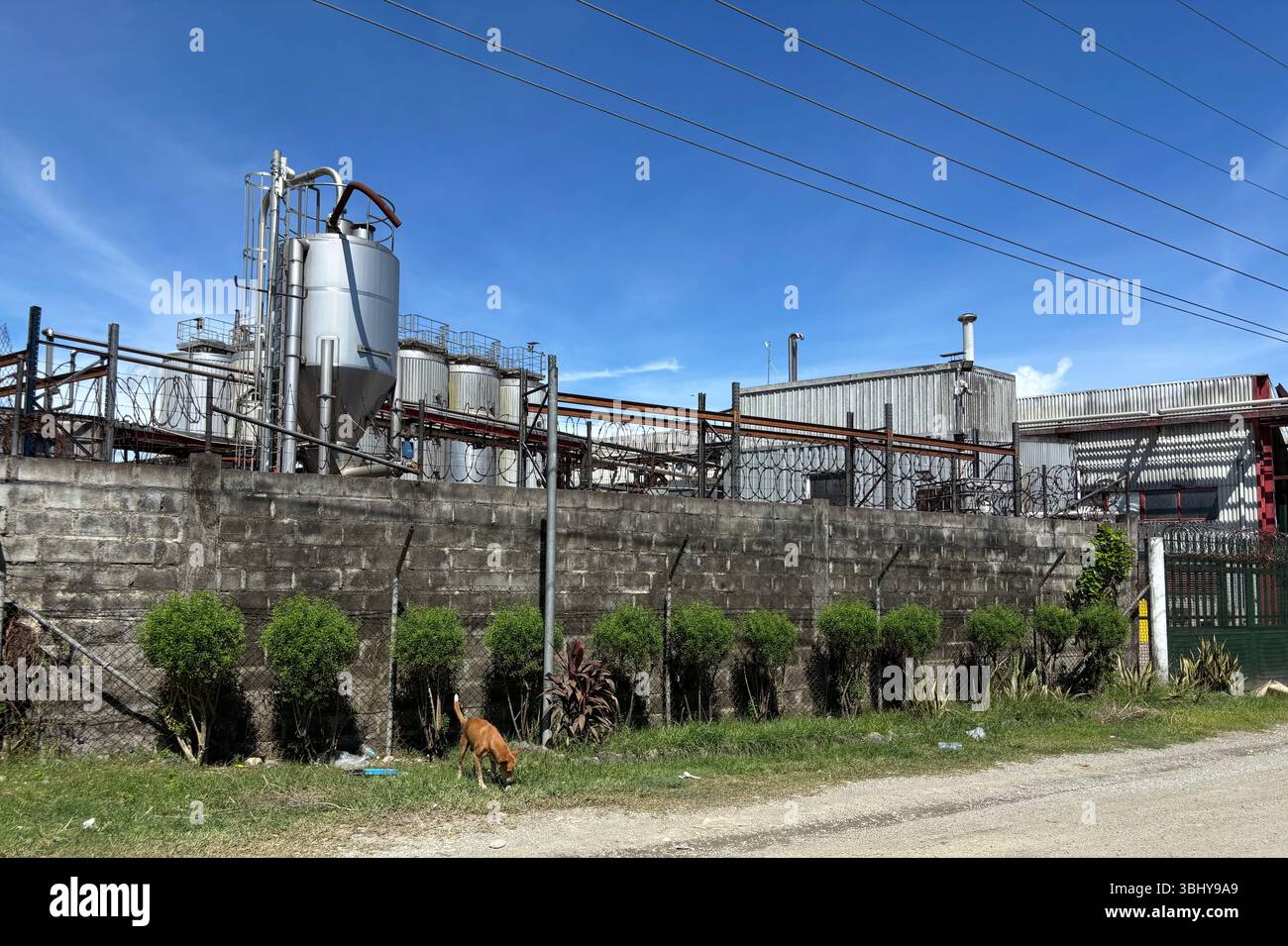 SolBrew factory, Honiara, Guadalcanal, Solomon Islands. No PR - Smartphone Captured Stock Image