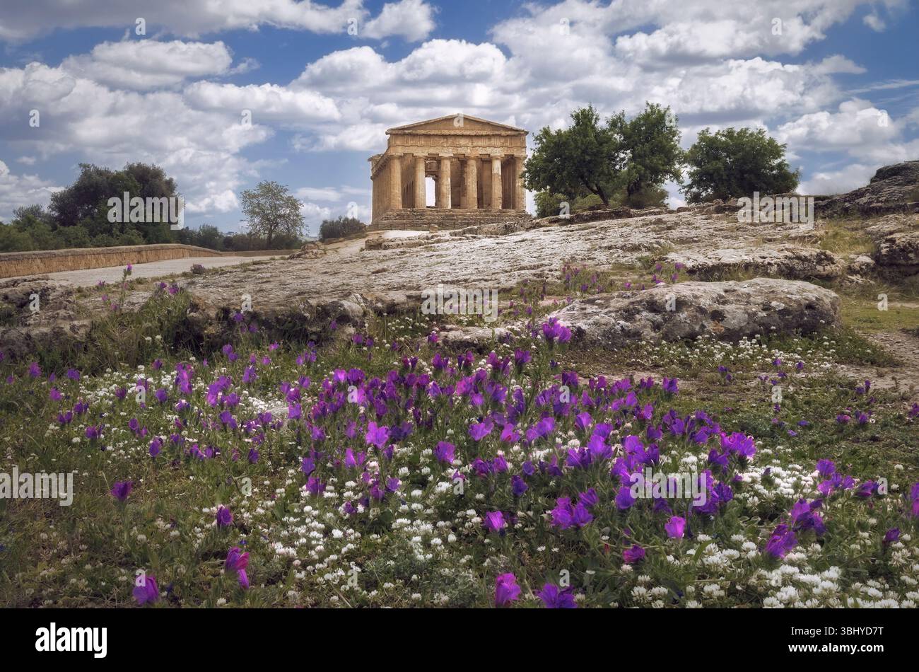 The Concordia Temple rises majestically in the Valley of Temples, amid blooming wildflowers and a dramatic sky, Sicily, Italy Stock Photo