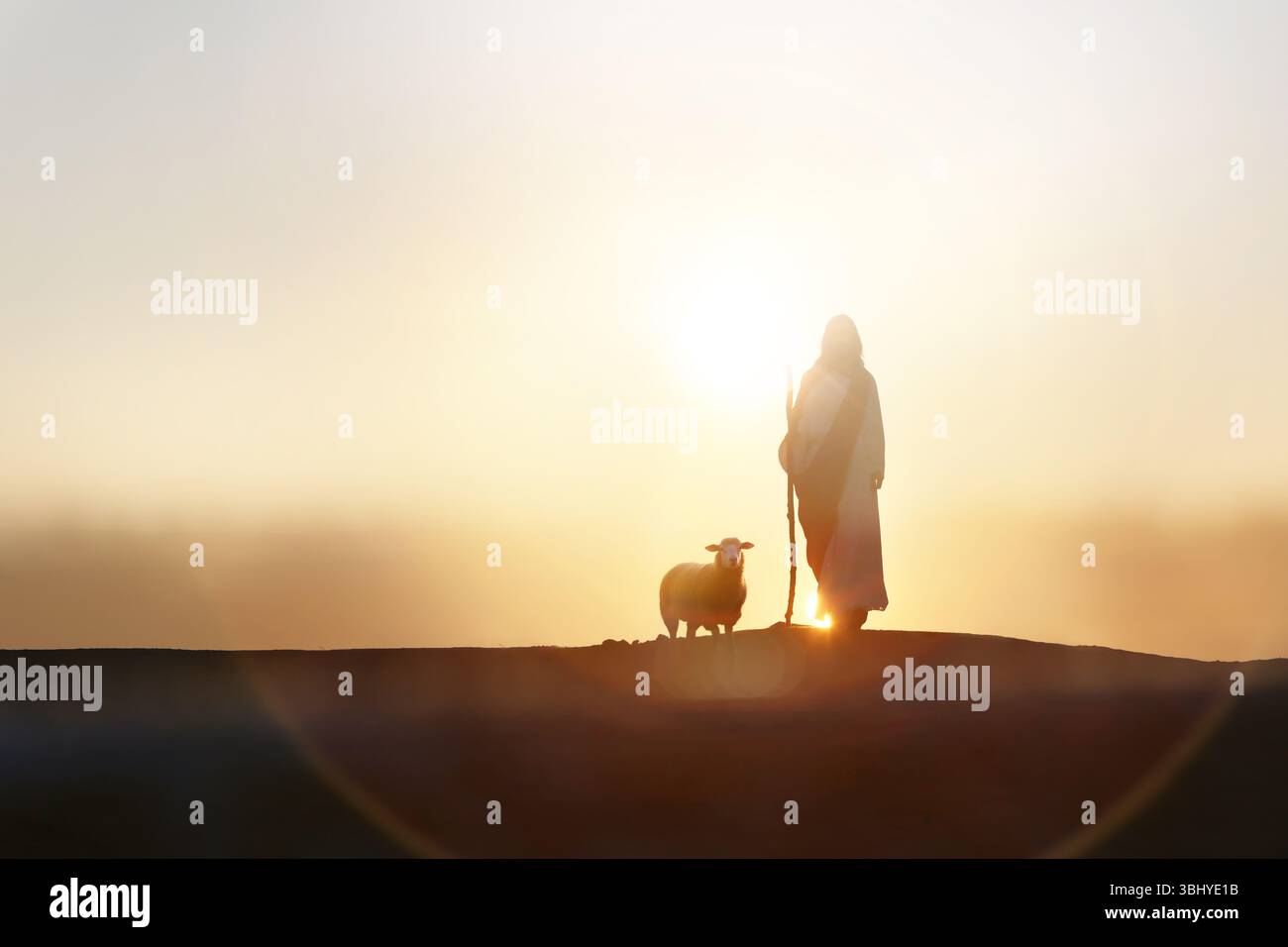 Shepherd Jesus Christ walking with sheep in wide meadow, silhouette with brilliant sun sunset, Jesus and sheep background Stock Photo