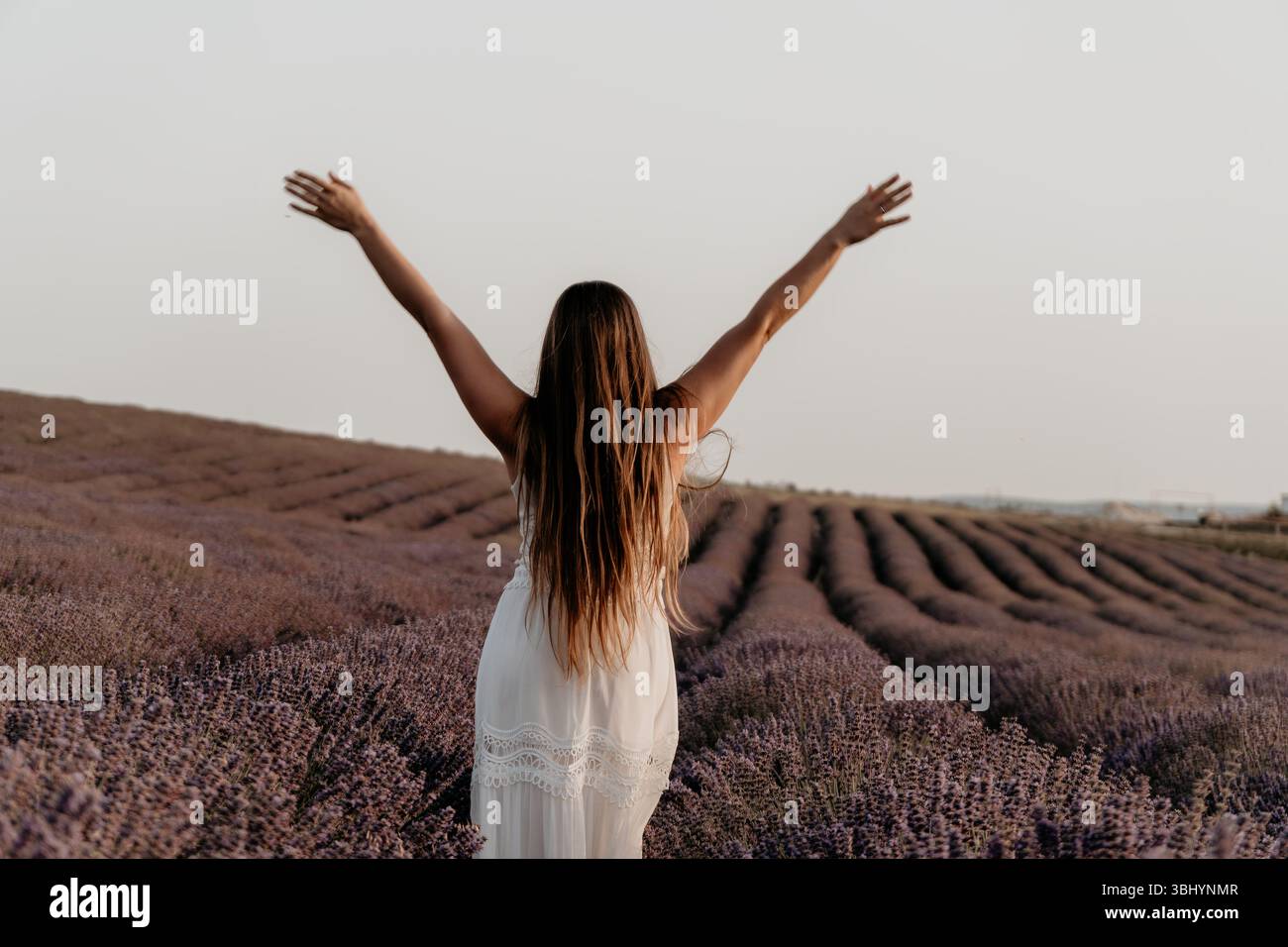 Lavender fields woman joy hi-res stock photography and images - Alamy