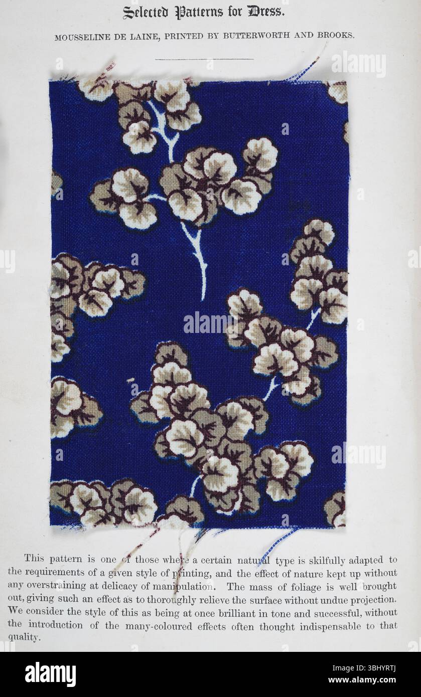 Victorian decorative art patterns, floral pattern, dress fabric design, 1840s 19th Century Stock Photo