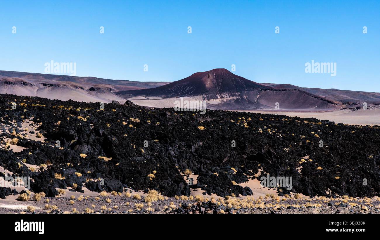 A stunning view of Antofagasta Volcano in Catamarca, Argentina, showcasing its rugged terrain under a clear blue sky. The foreground features dark vol Stock Photo