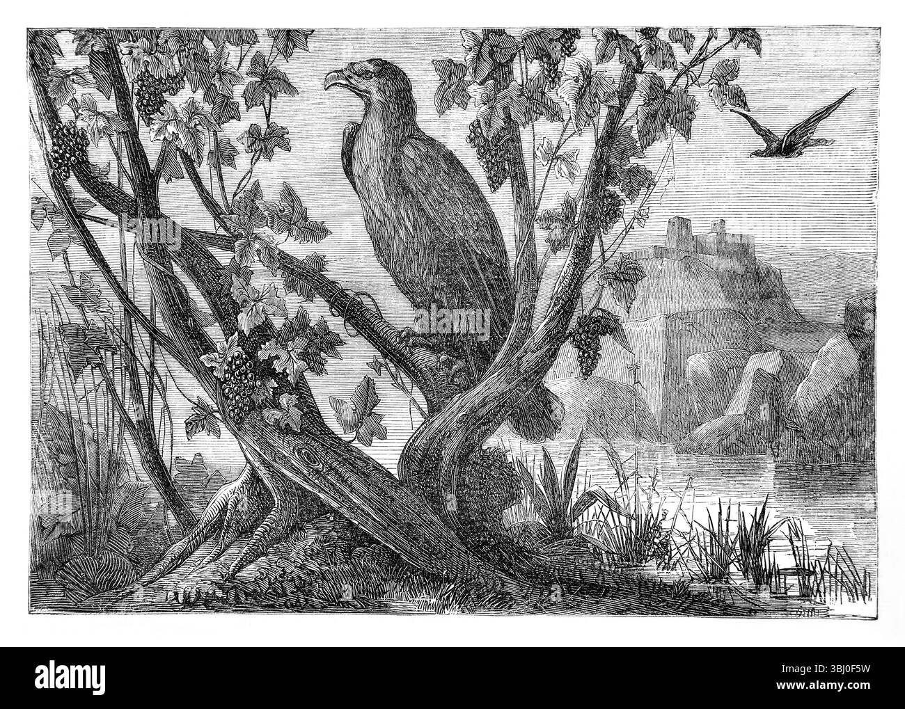 Representing figures Black and White Stock Photos & Images - Alamy