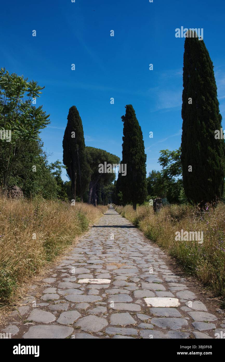The Appian Way in Rome in early summer Stock Photo - Alamy