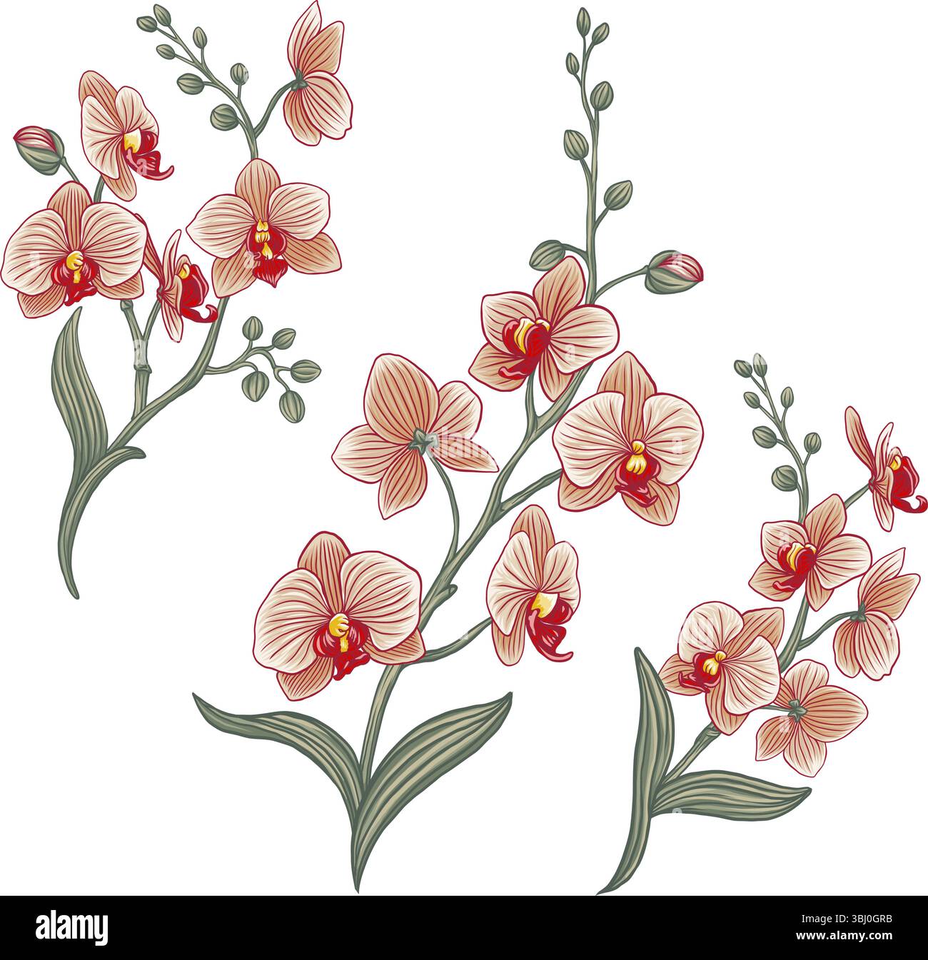 Tropical home concept Stock Vector Images - Alamy