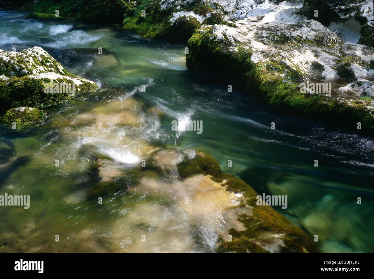 Alpine stream - coolness and murmur. Sounds of the mountains. Stock Photo
