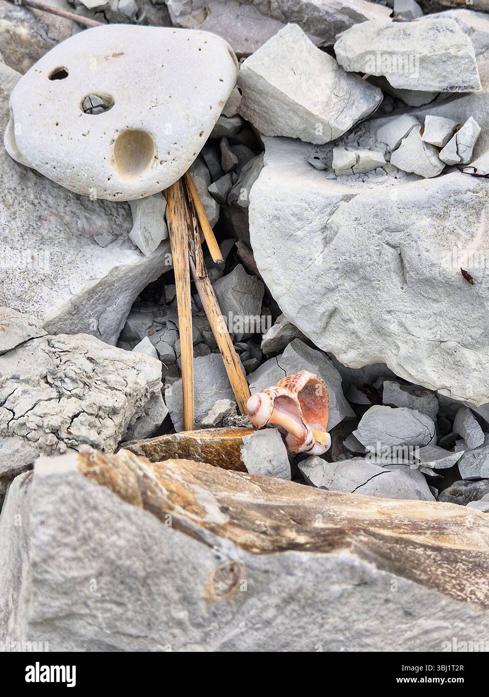 Scattering of stones. stones on the coast. white rocks. stone texture. sea. summer - Smartphone Captured Stock Image