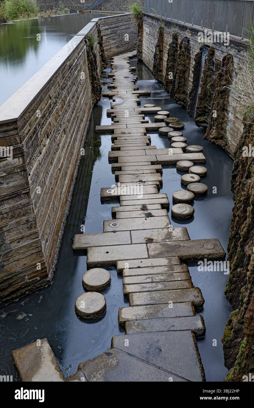 A path of stones leads through a narrow waterway next to a wall, Landsweiler-Reden water garden, Saarland, Germany, Europe Stock Photo
