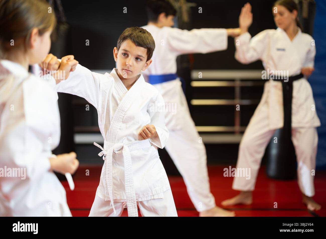 Untitled, image size:1300x956