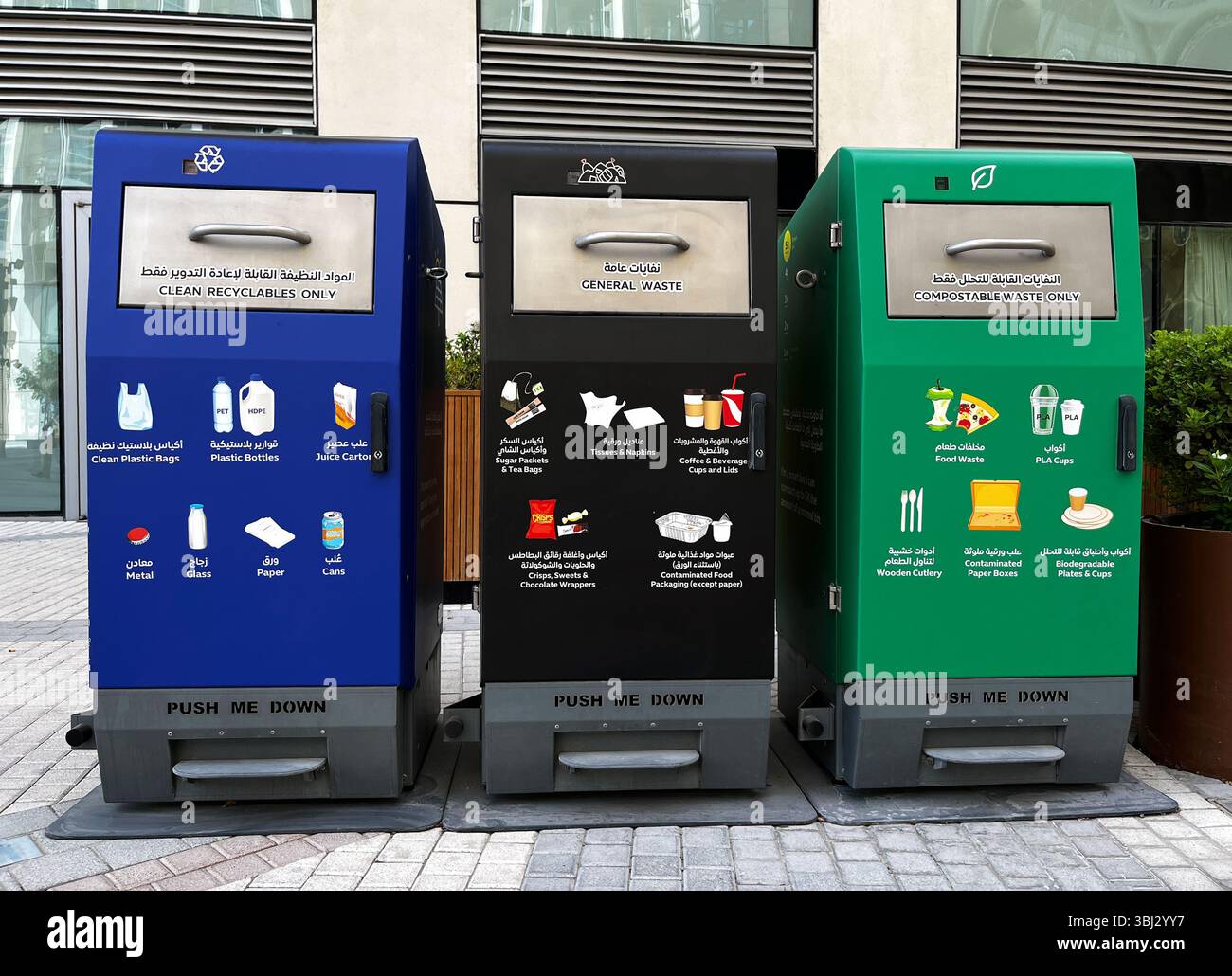 Thumbnail for Eco-Friendly Apartment Renovation For Waste Sorting Systems