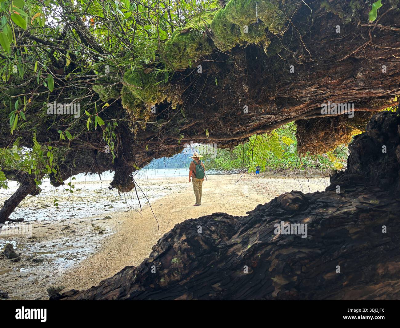Hikers on the wild southwest coast of Tetepare Island, Western Province, Solomon Islands. No MR - Smartphone Captured Stock Image