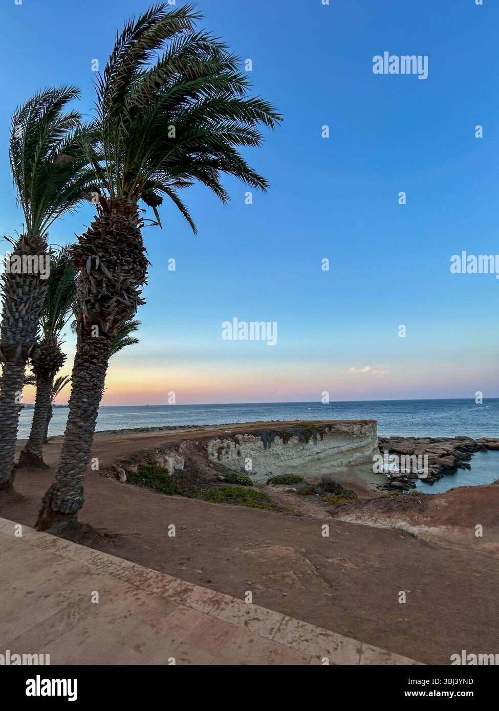 Scenic coastal view with palm trees swaying in the wind at sunset in Cyprus, overlooking rocky cliffs and the calm Mediterranean Sea. - Smartphone Captured Stock Image