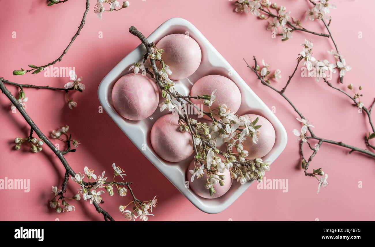 Pink Easter eggs in egg packaging on pale pink background with cherry blossom. Top view. Stock Photo