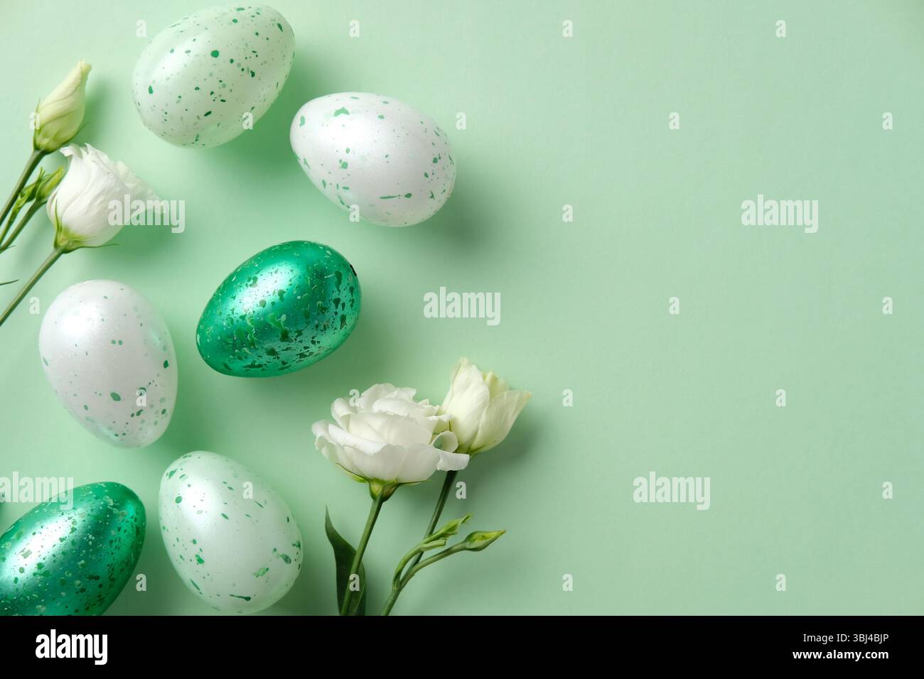 Green and white speckled Easter eggs with delicate white flowers on a pastel green background Stock Photo