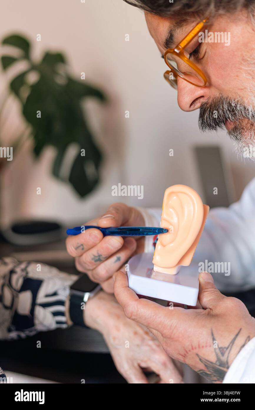 Audiologist explaining ear structure using a model and pen Stock Photo
