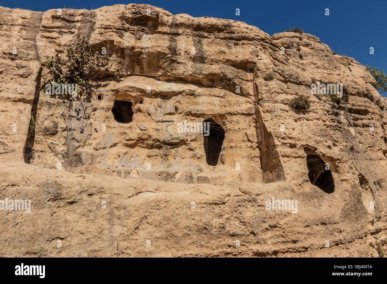 Bavian relief hi-res stock photography and images - Alamy