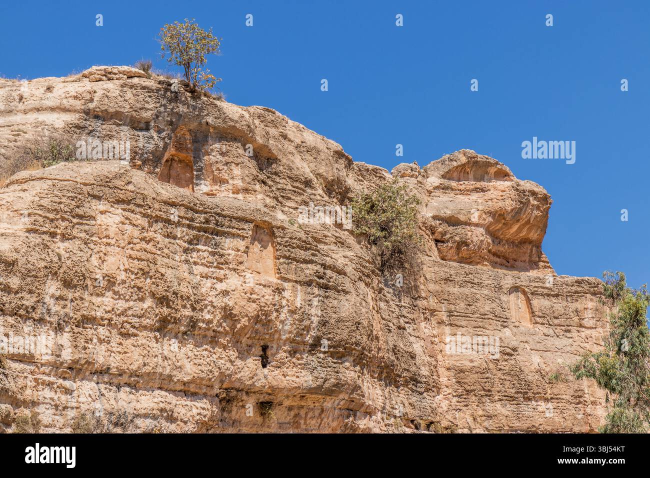 Bavian relief hi-res stock photography and images - Alamy